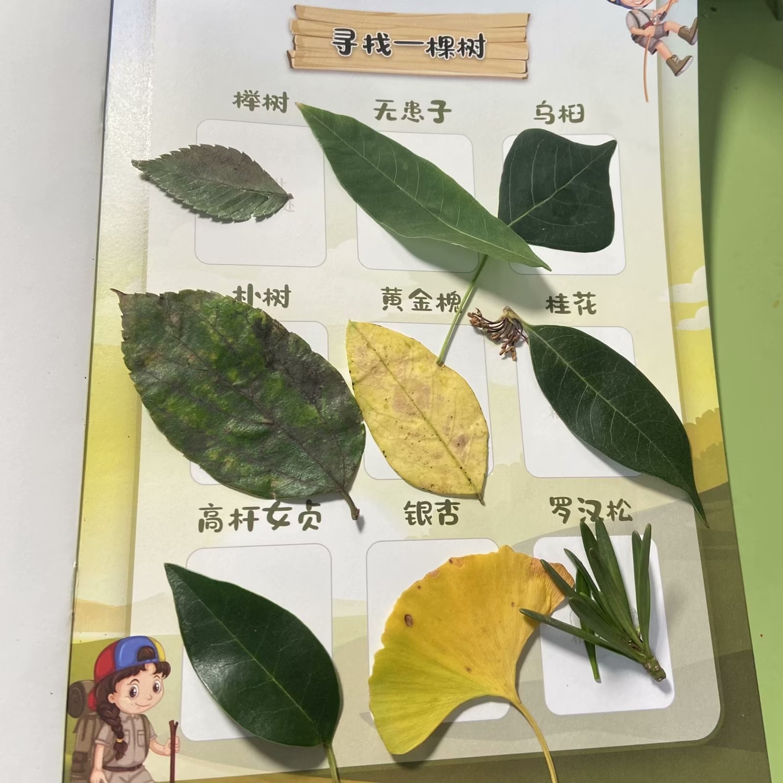 b2a890ffc899408087627e201859fe21_20231023155859507.jpg 9.jpg