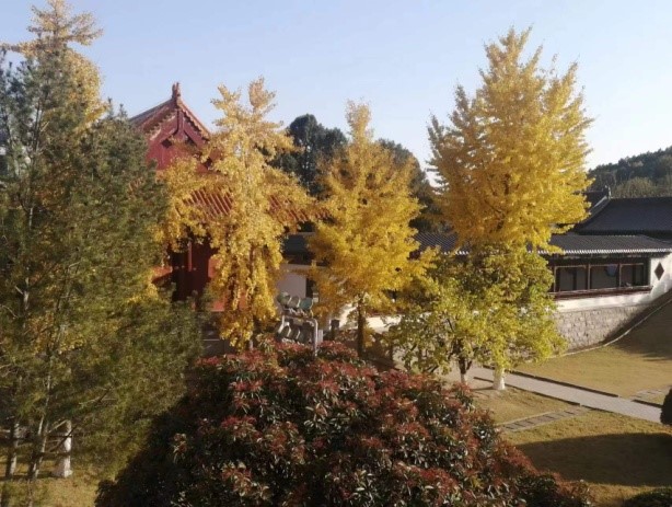 b2a890ffc899408087627e201859fe21_20231204160608457.jpg 3.jpg