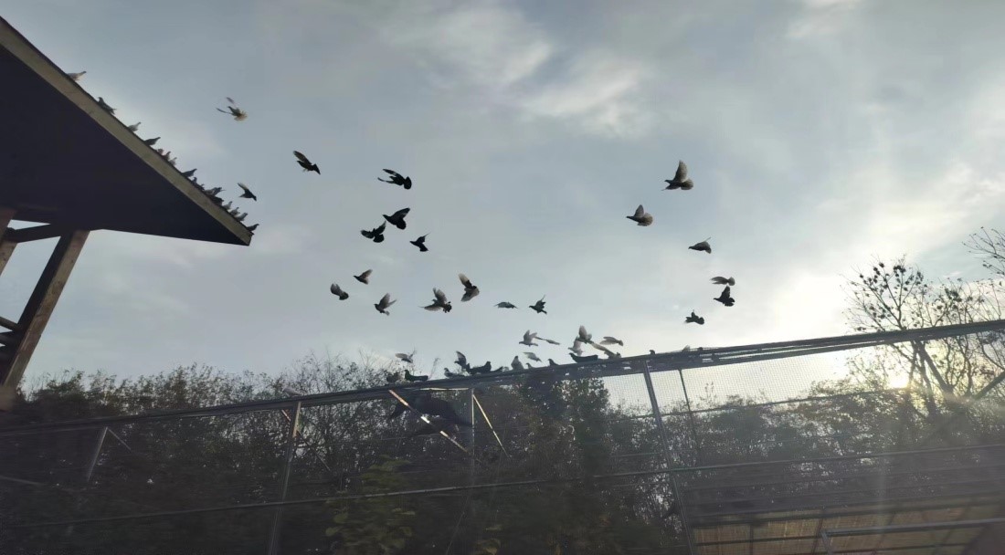 b2a890ffc899408087627e201859fe21_20231204161344150.jpg 4.jpg